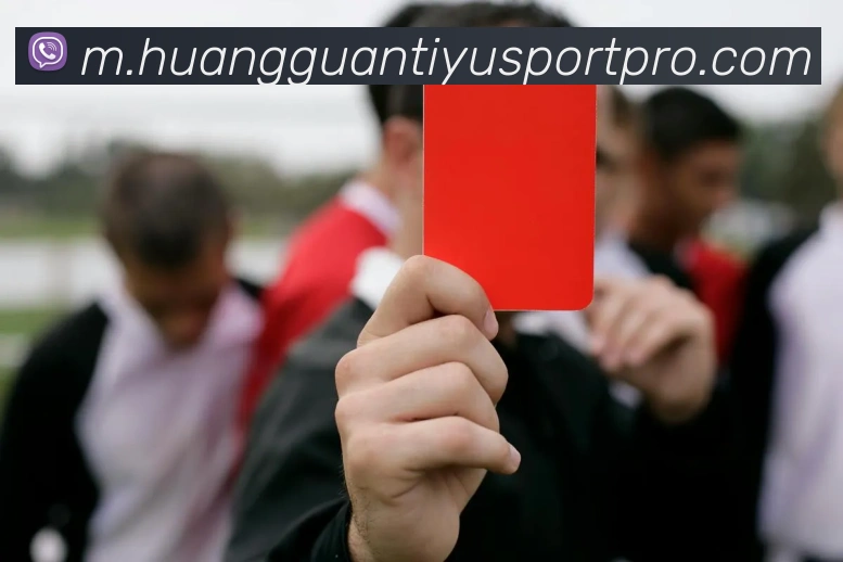 皇冠体育平台生态图